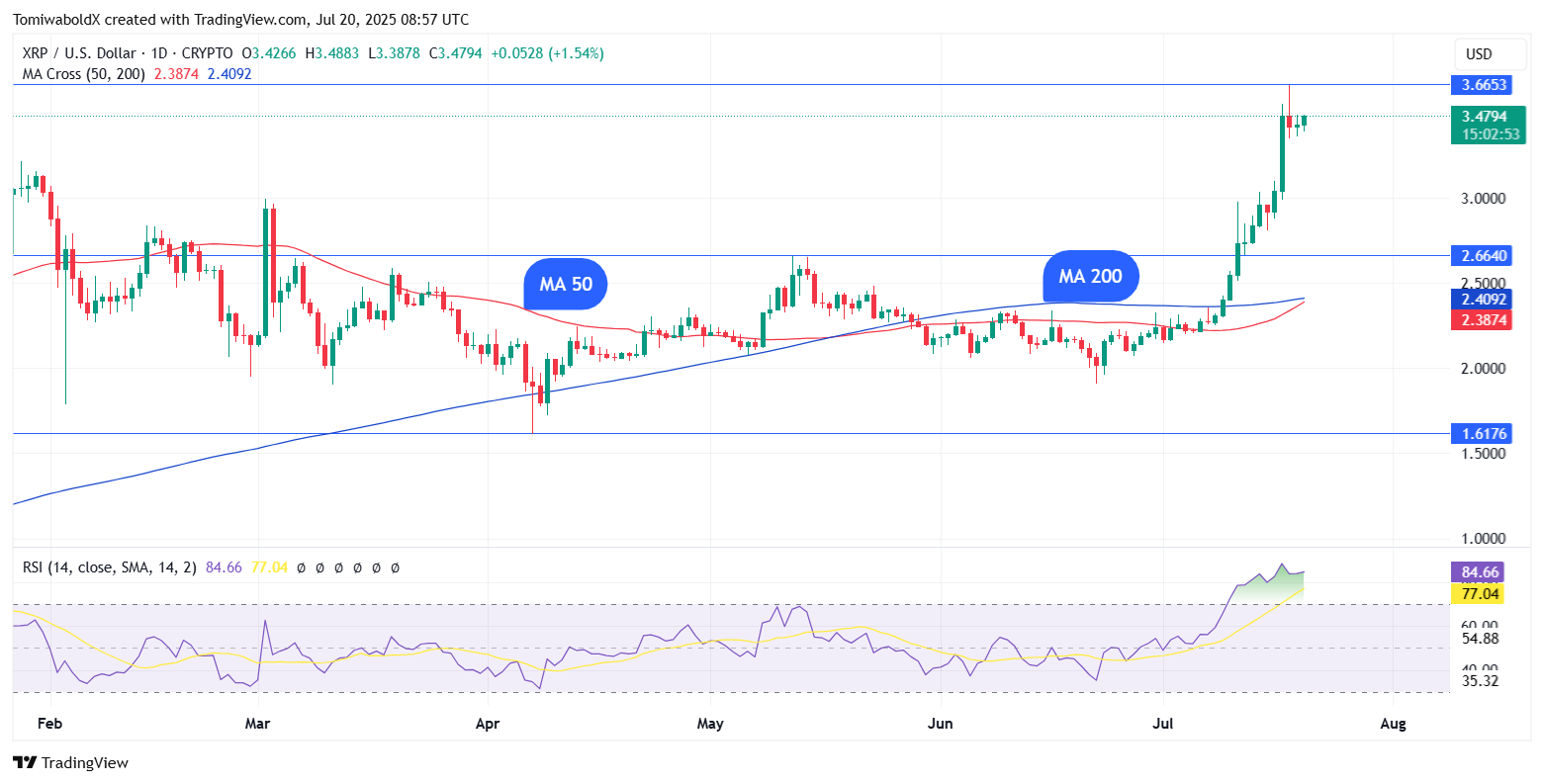 TradingView