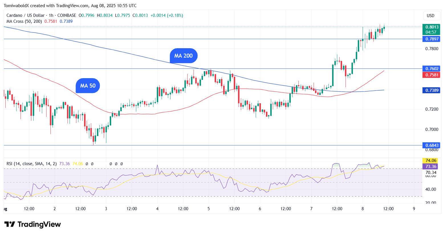 TradingView