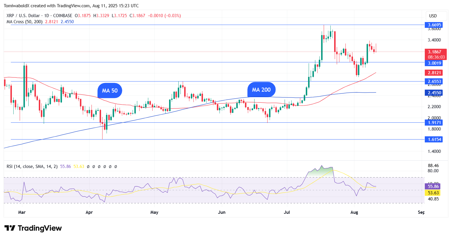 TradingView