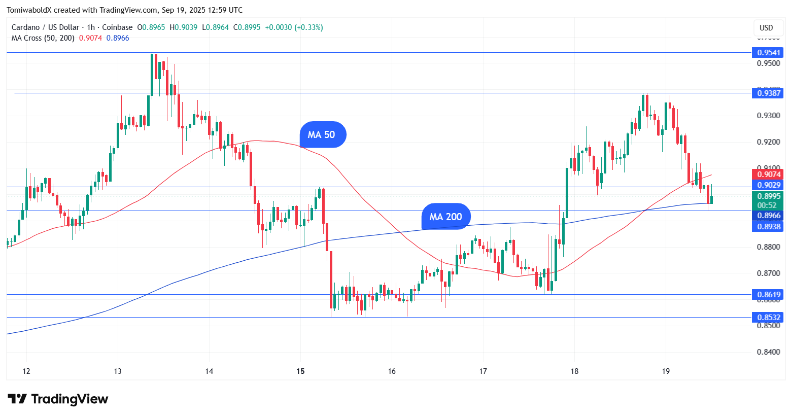 TradingView