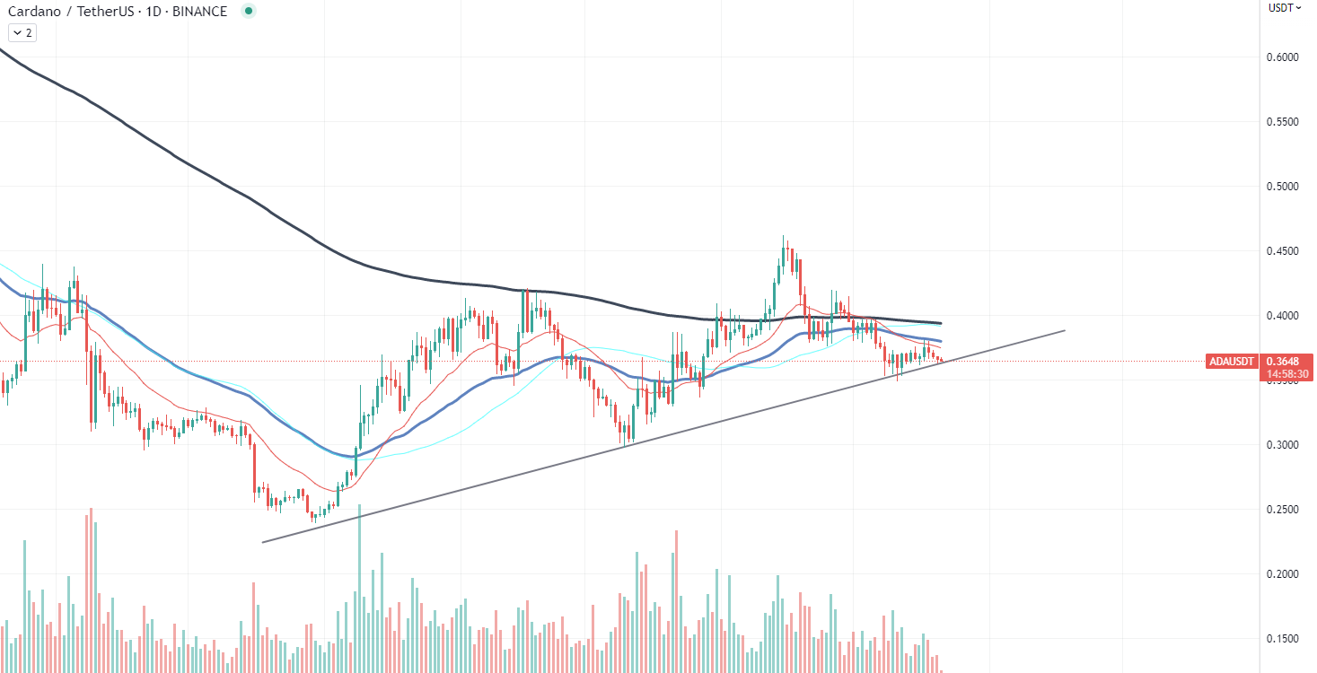 ADA chart