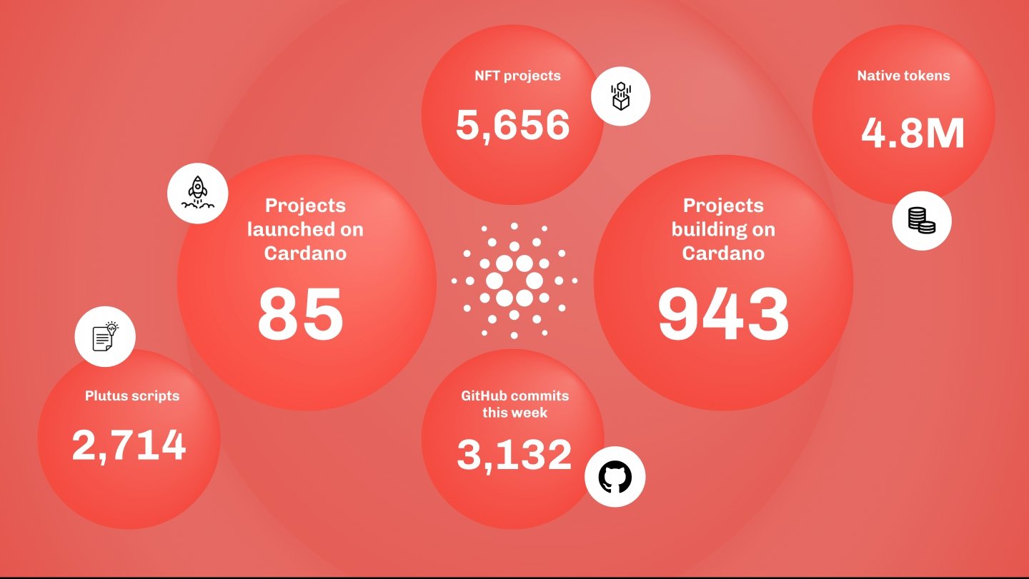 Cardano ကွန်ရက်စာရင်းအင်းများ