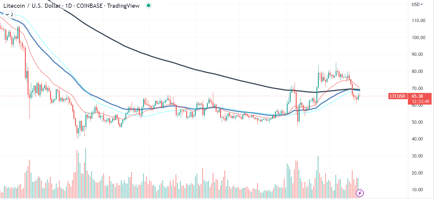 Gráfico LTC