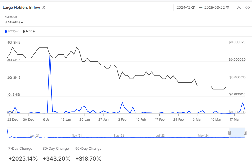 Shiba Inu Stuns With 2025% Influx Spike: What's Occurring?