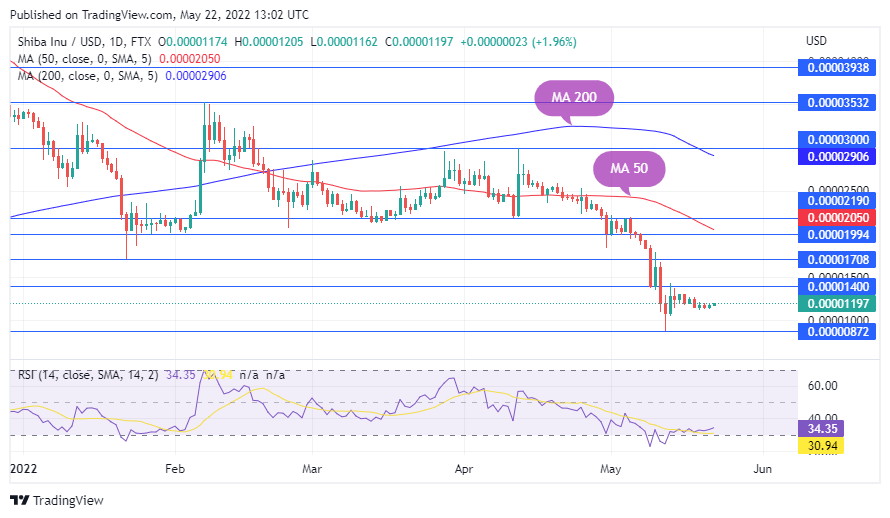 TradingView