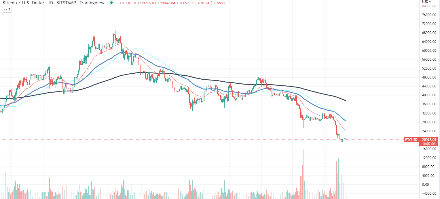 Carta Bitcoin