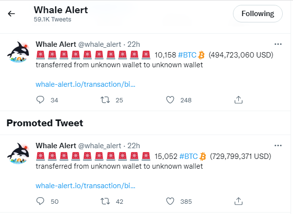 WhaleAlert Twitter