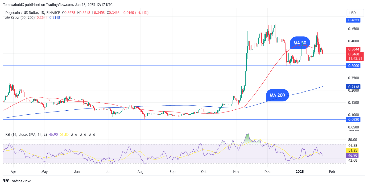 TradingView