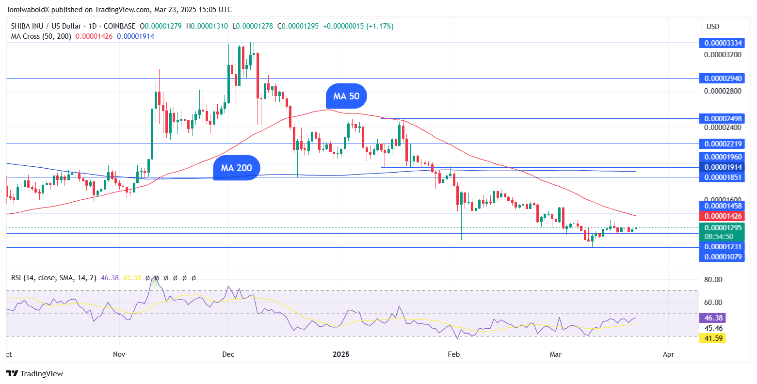  TradingView