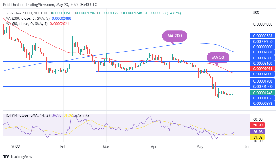 TradingView