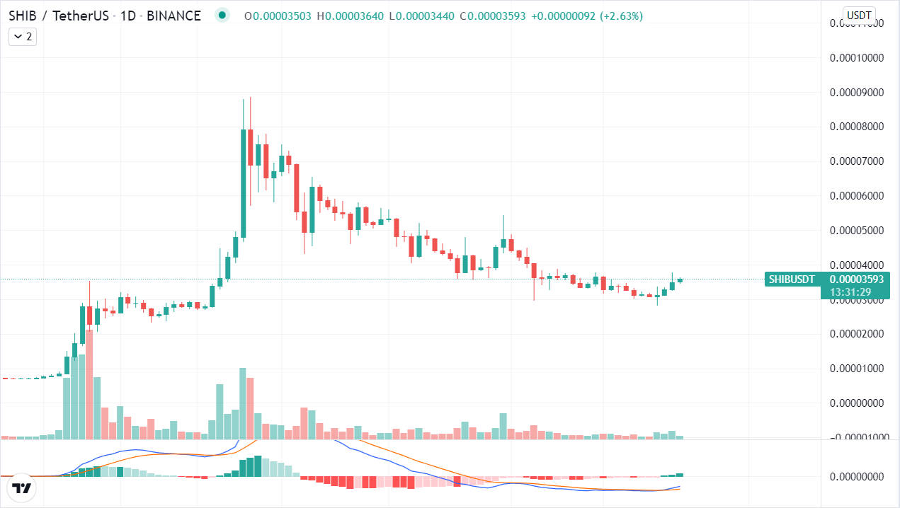 Shiba Inu Daily Chart