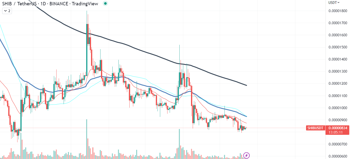 SHIB Chart