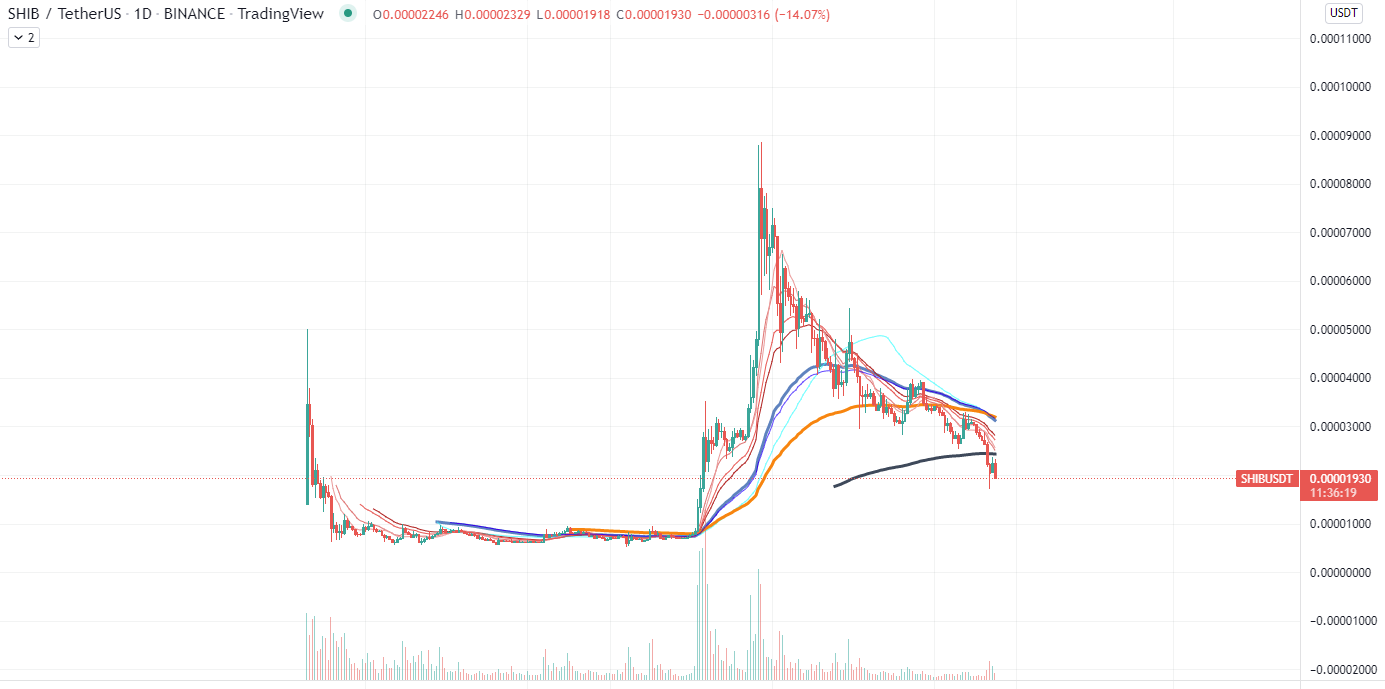 Grafico di Shiba