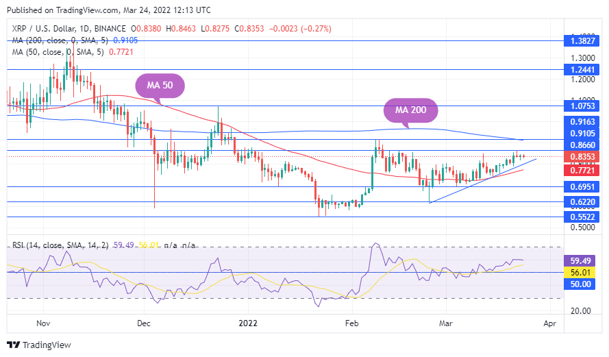 TradingView