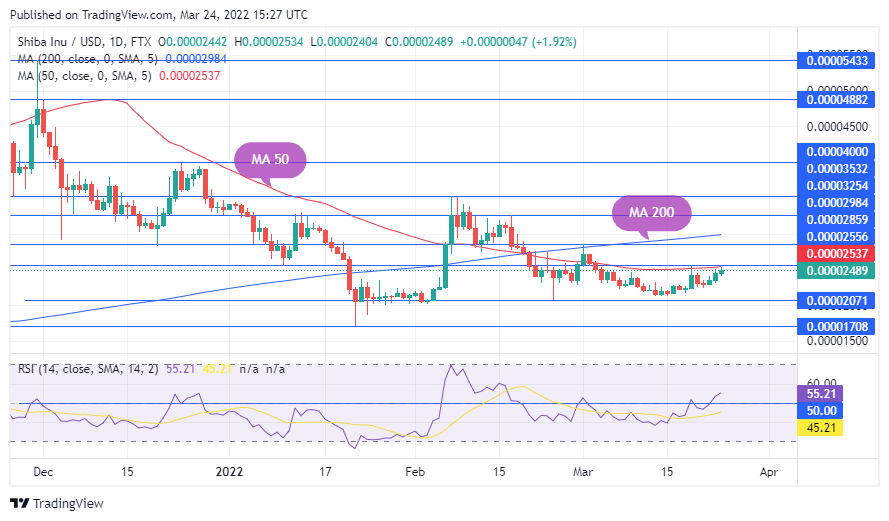 TradingView