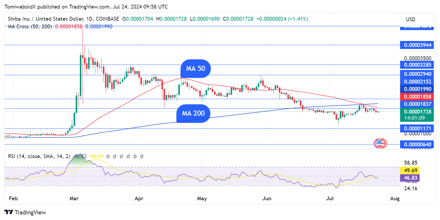 Shiba Inu (SHIB) Might Be on Verge of Big Move, Key Level to Watch