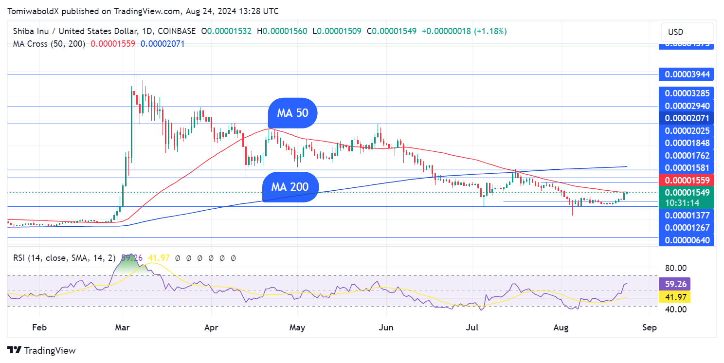 TradingView