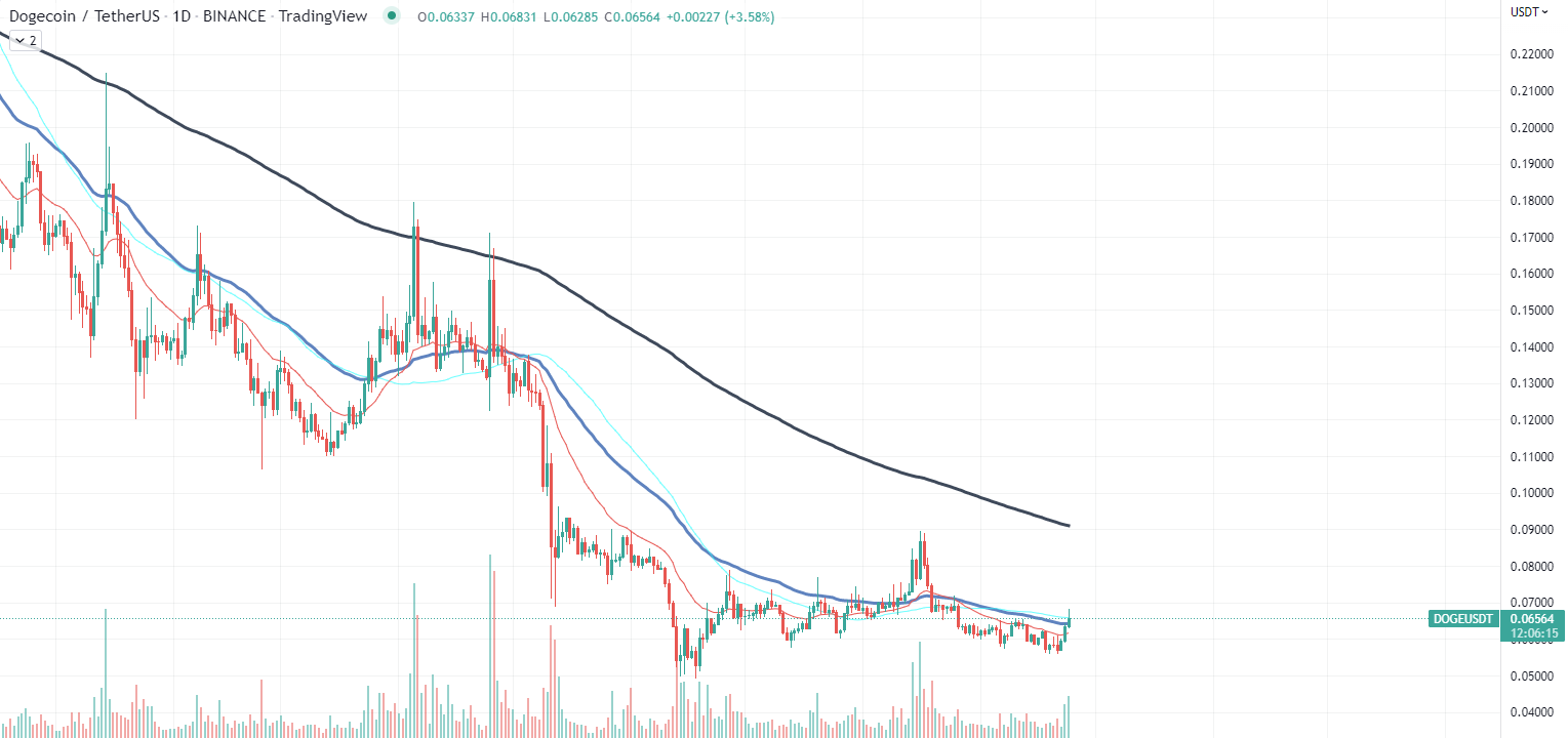 Doge Chart