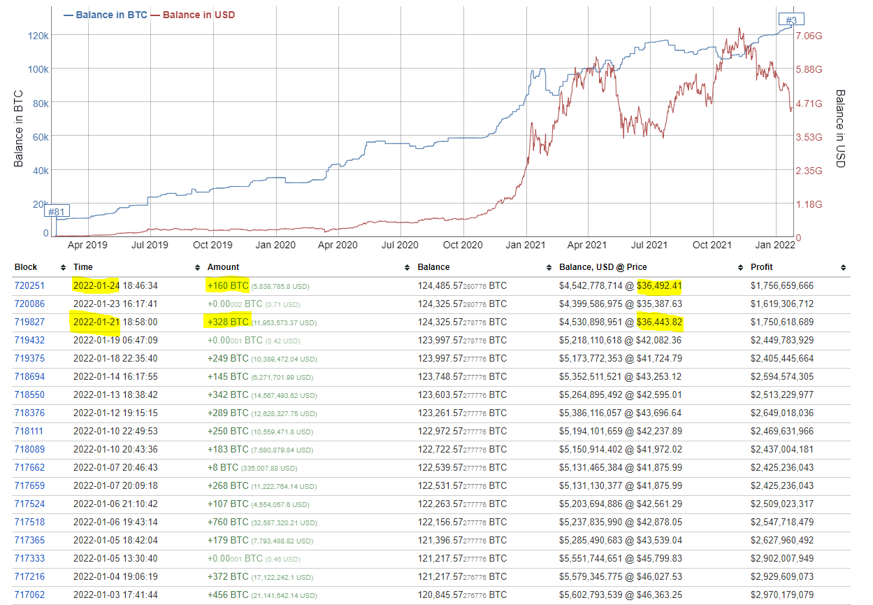 Bitcoin Whale-gegevens