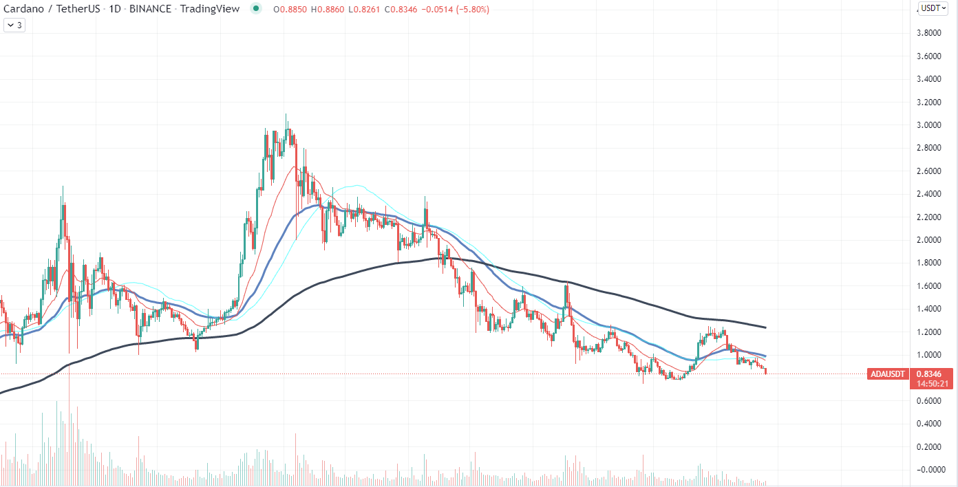 Cardano Chart