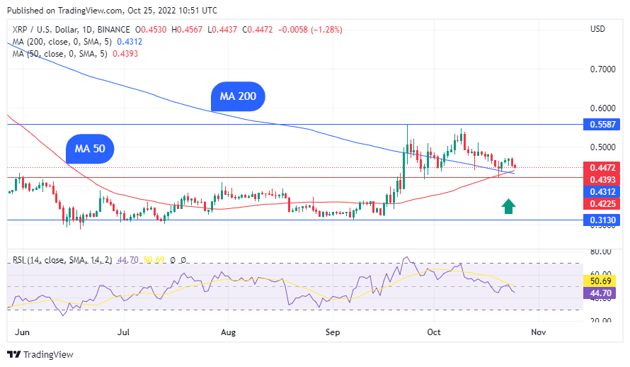 TradingView