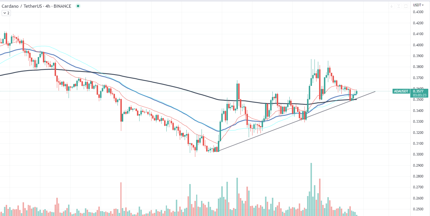 Cardano chart