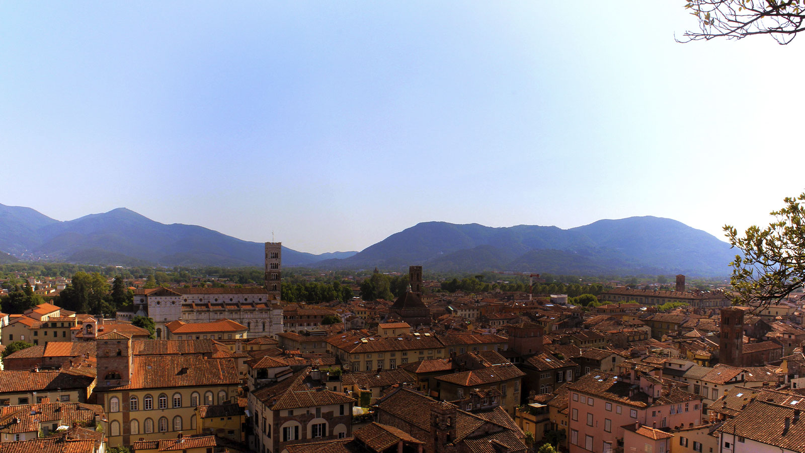 lucca