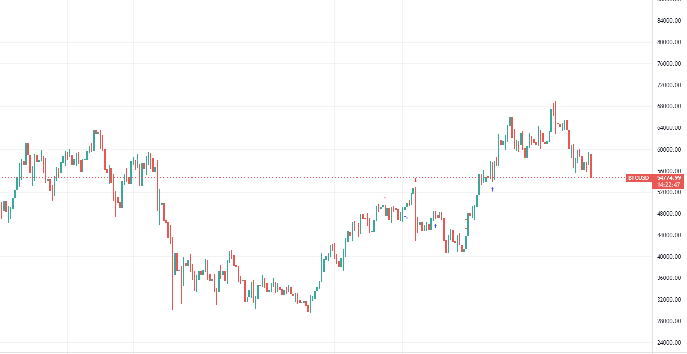 Bitcoin Market Performance