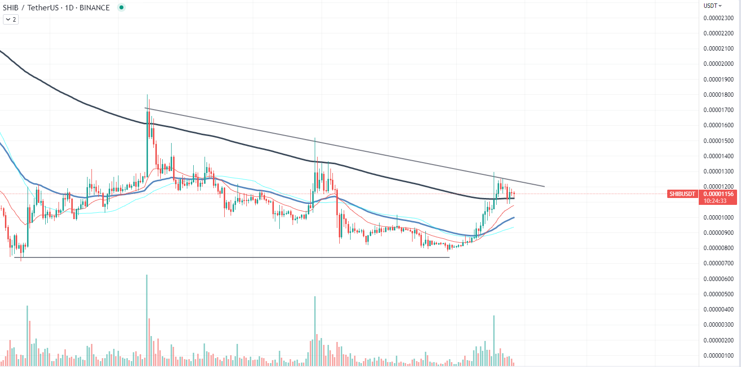 SHIB chart