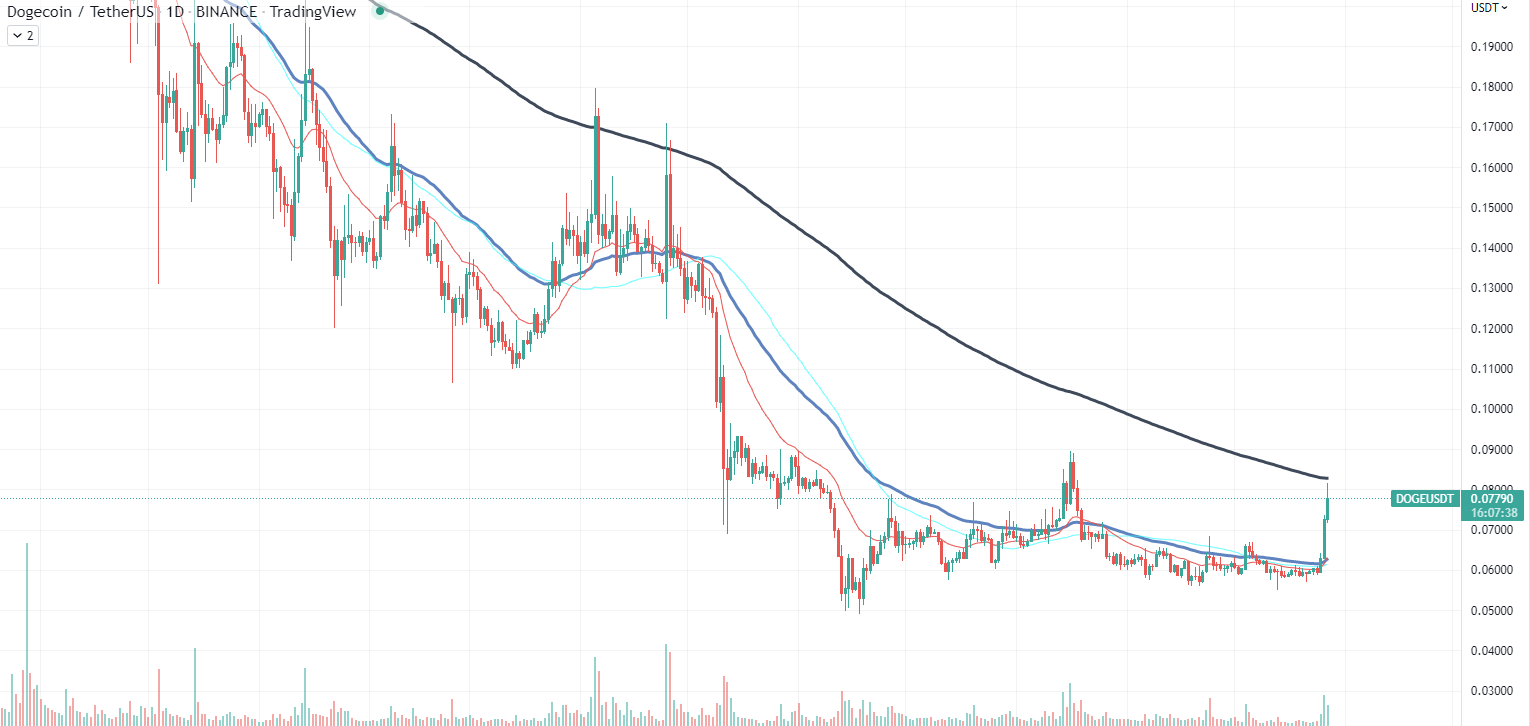 DOGE Chart