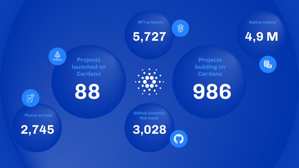 Cardano Network Statistics