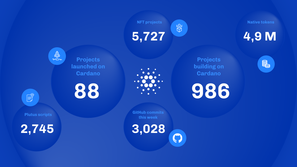 Statistiche della rete Cardano