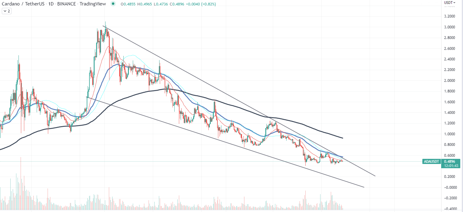 Cardano performance