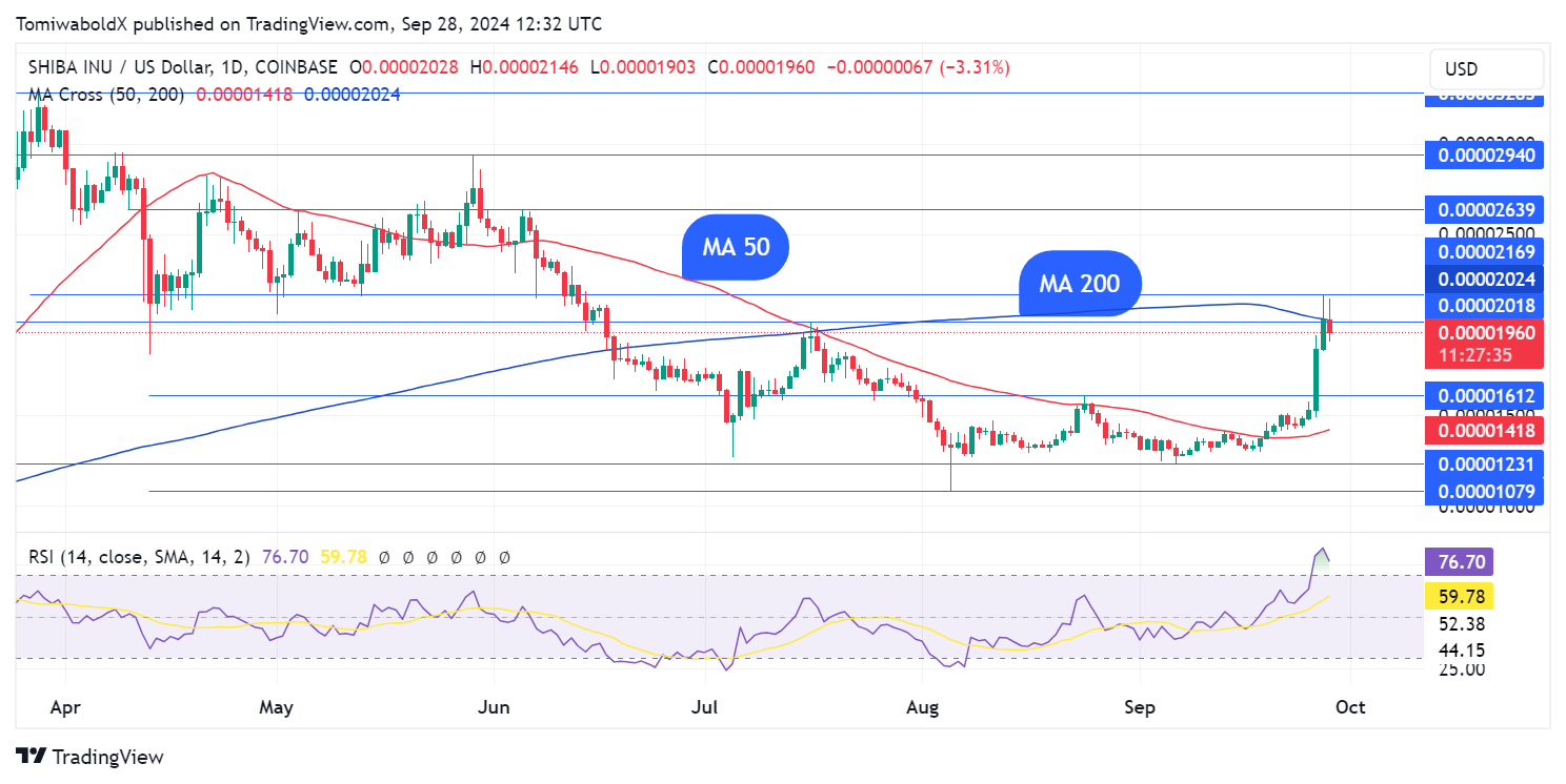 $1.46 Billion SHIB in 24 Hours: Here's What Is Happening