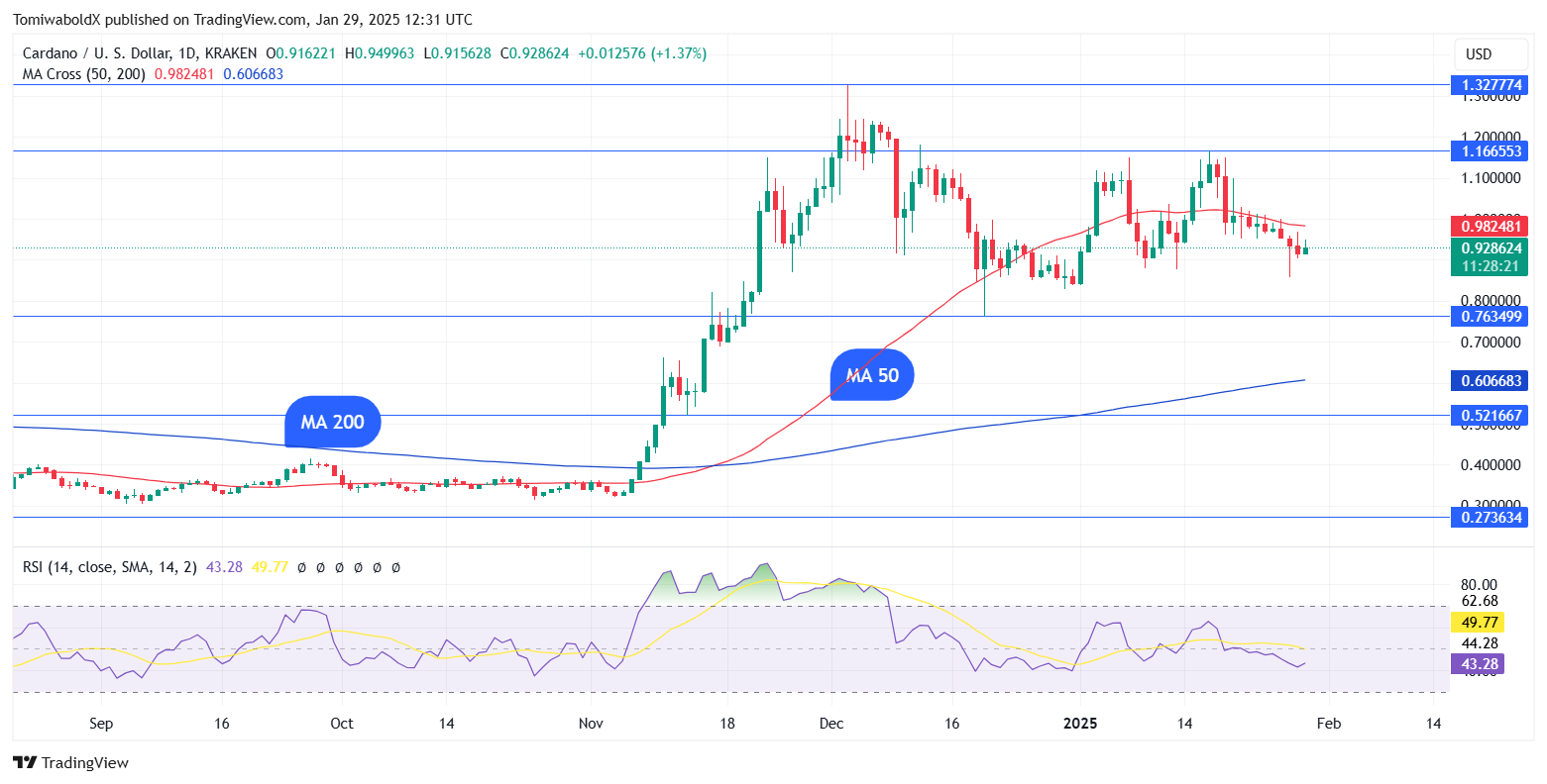 TradingView