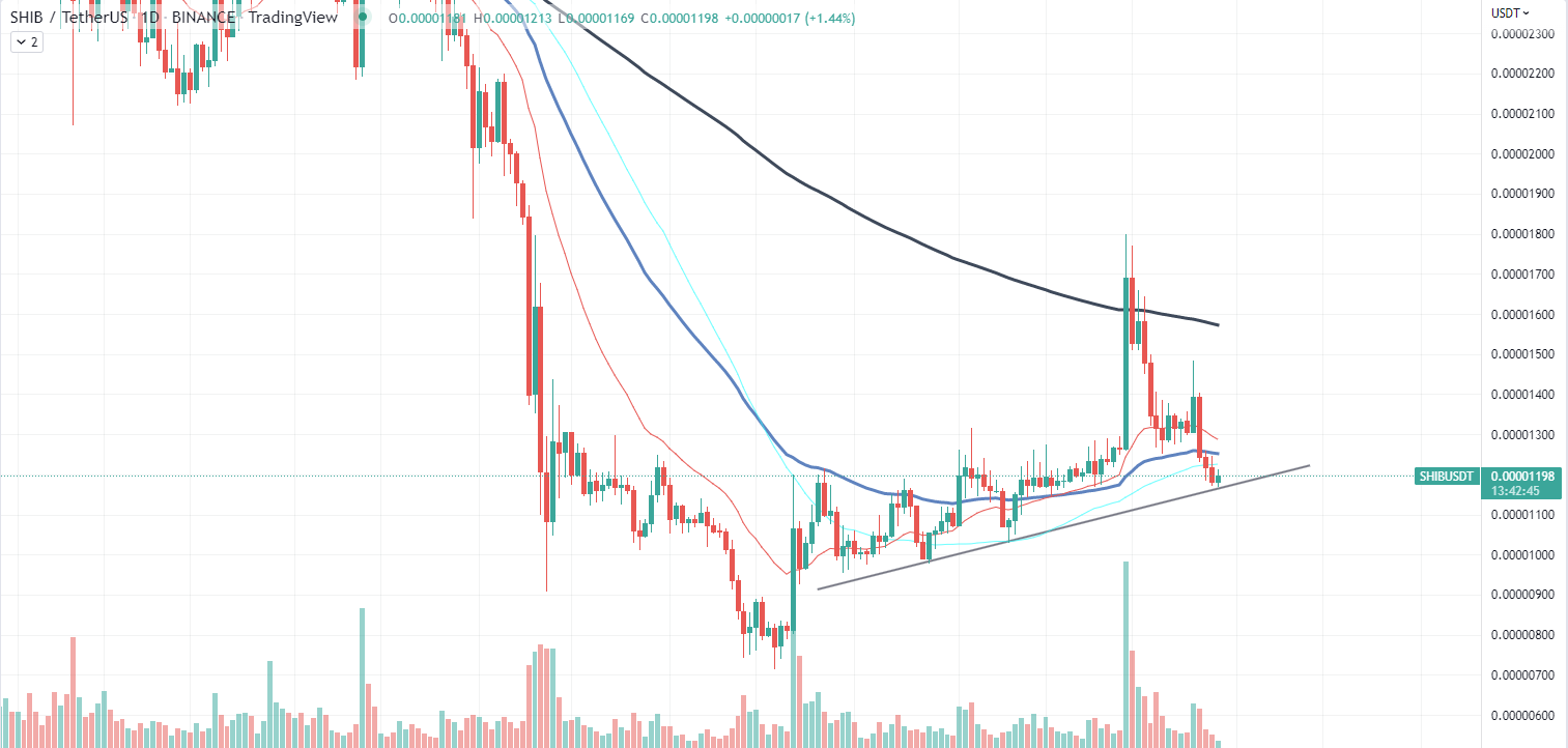 Shib Chart