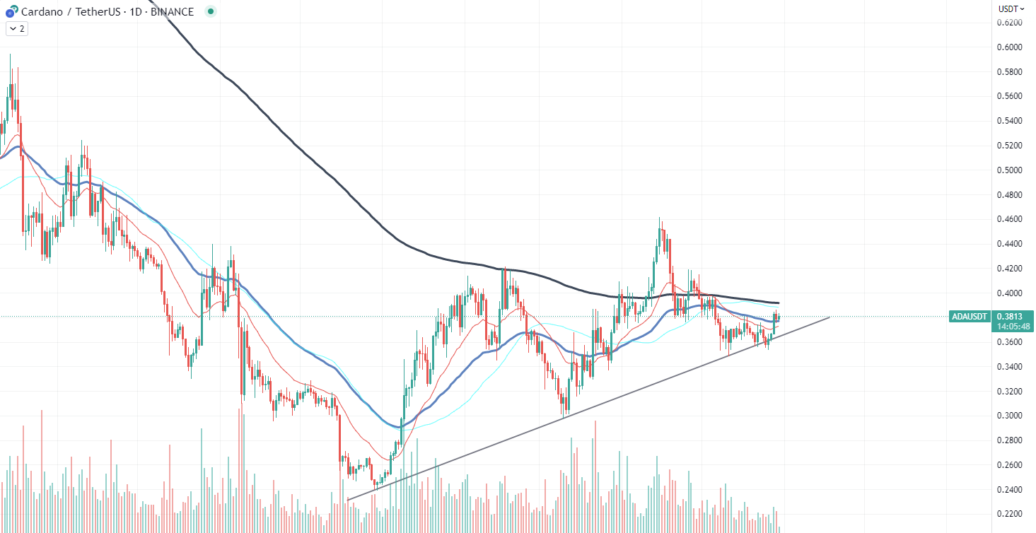 Cardano chart