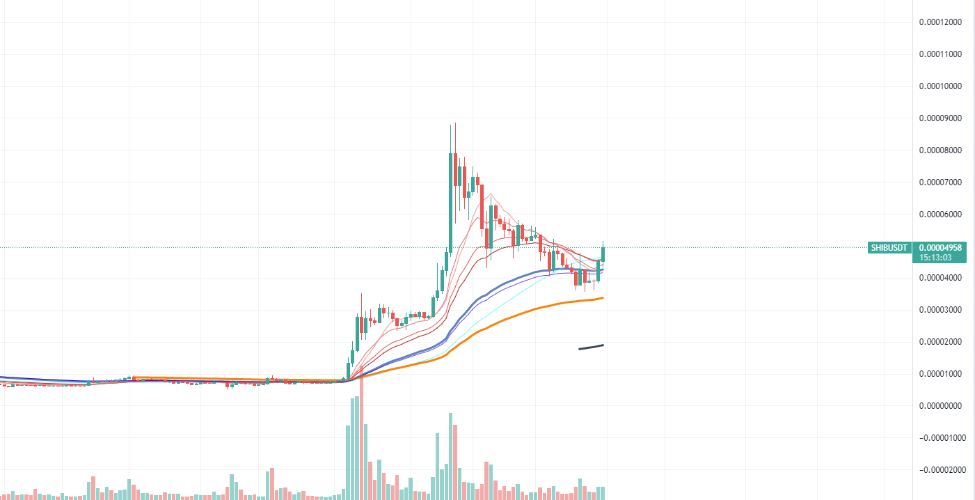 Shiba Daily Chart