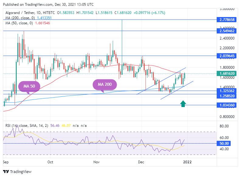 TradingView