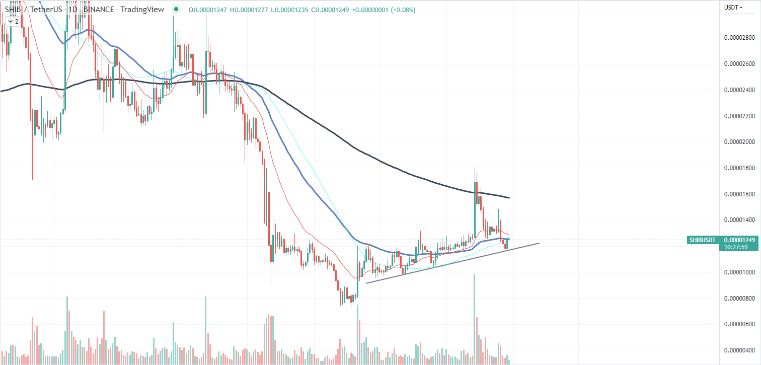 SHIB Chart