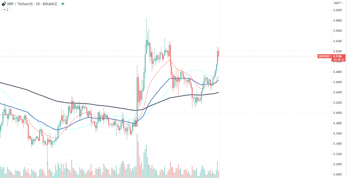 BONK chart