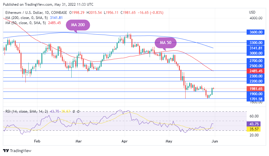 TradingView