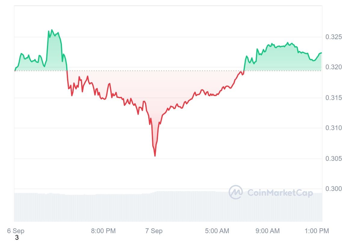 Cardano (ADA) właśnie osiągnął najwyższy poziom w codziennych transakcjach