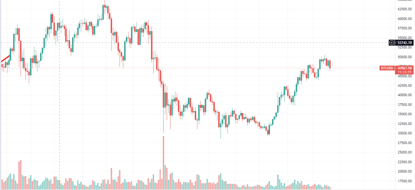 Bitcoin Daily Chart