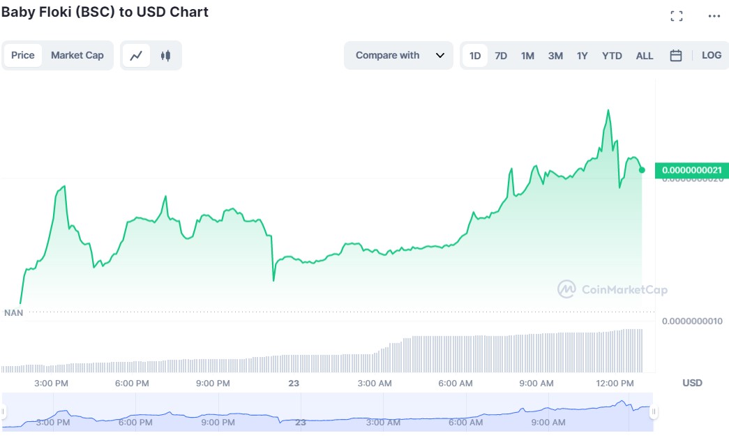 BabyFloki USD Chart