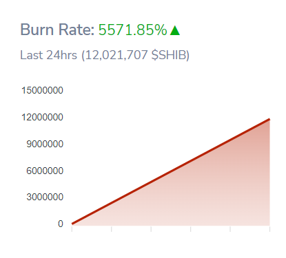 SHIBBurn_rate00_00qrrget9349u5tshibainu