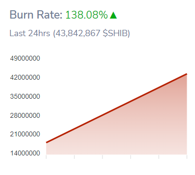 SHIB_burn9900876svfdbgf8uwertr_SHIB