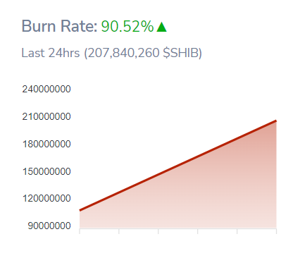 SHIBburn_00werj493ew