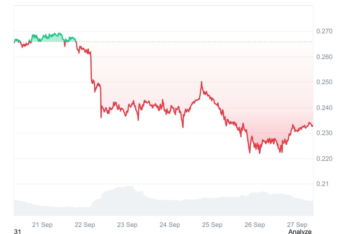 DOGE to the Moon: How Will ETFs Have an effect on DOGE Value? – U.Right this moment