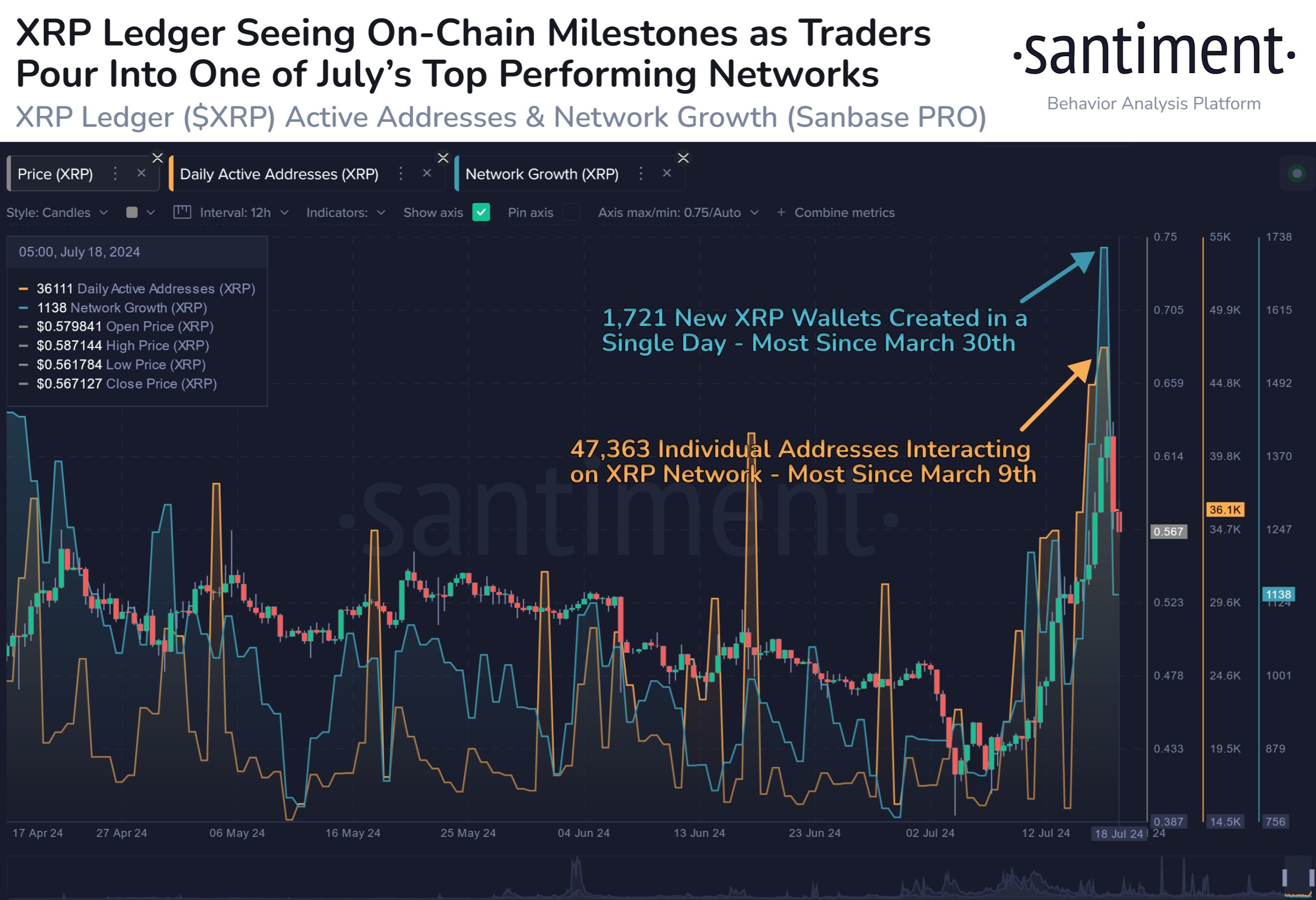 XRP Skyrockets to 2024 Highs With Parabolic Address Growth